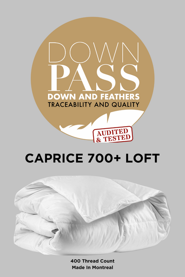 Caprice 700+ LOFT Dolce Down Duvet