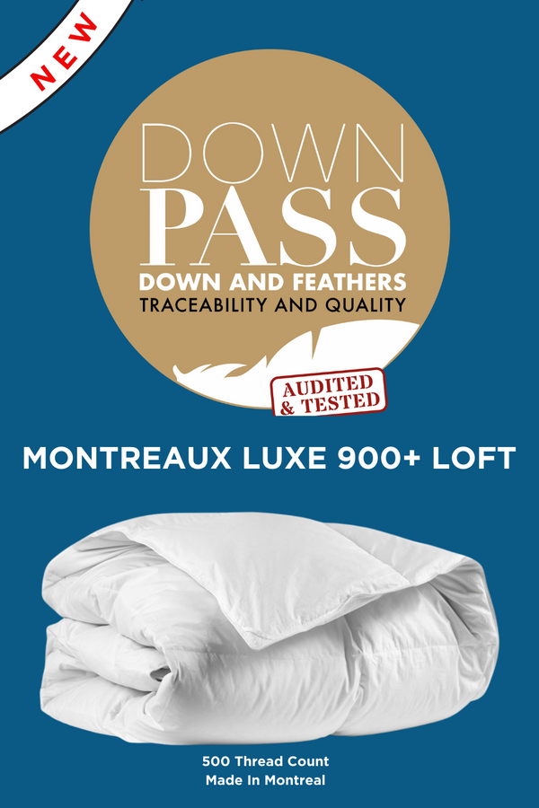 Montreaux Luxe 900 LOFT Dolce Goose Down Duvet
