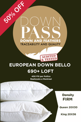 BELLO 690+ Loft European Down Pillow Firm
