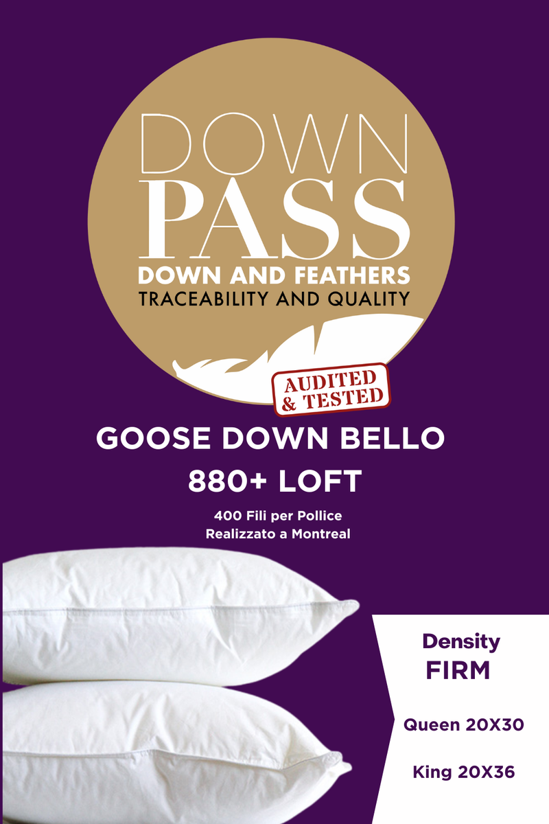 BELLO 880+ Loft Goose Down Pillow Firm