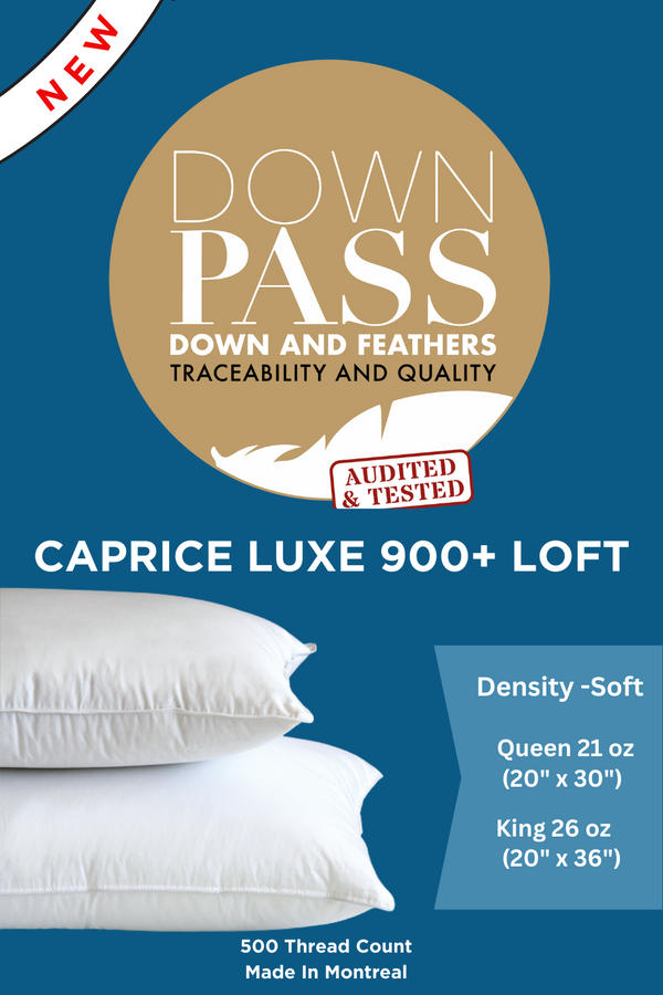 Caprice 900 Loft Down Pillow Soft