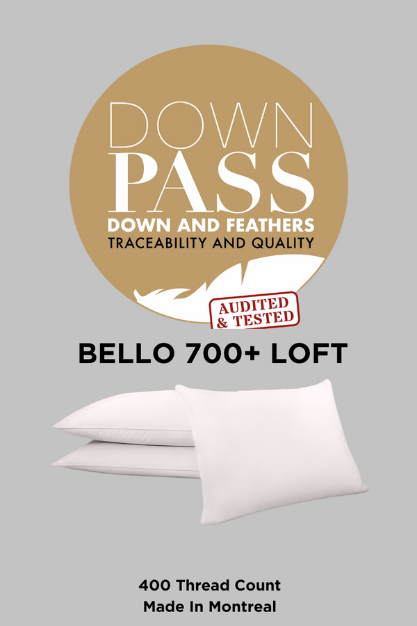 BELLO 700 Loft Down Pillow Firm