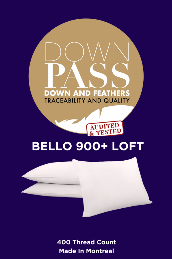 BELLO 900 Loft Down Pillow Firm