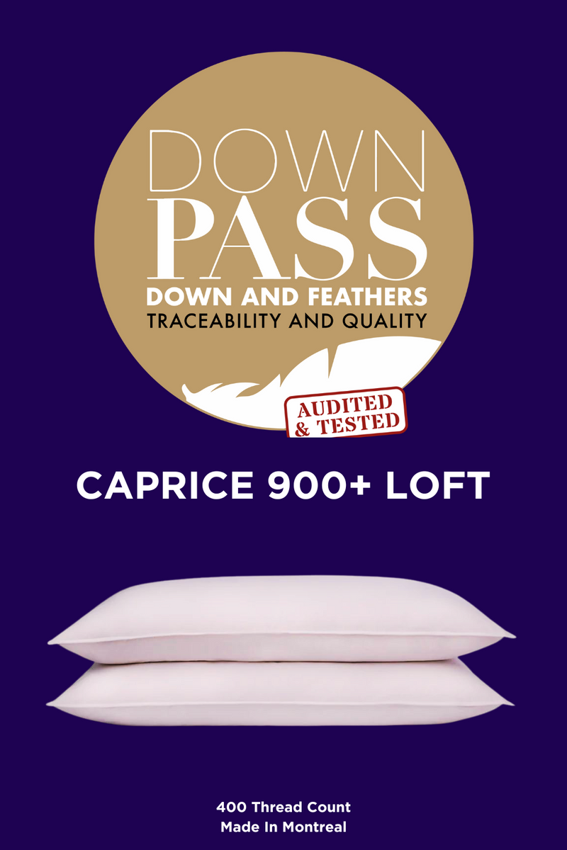 Caprice 900 Loft Down Pillow Soft