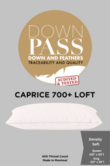 Caprice 700 Loft Down Pillow Soft