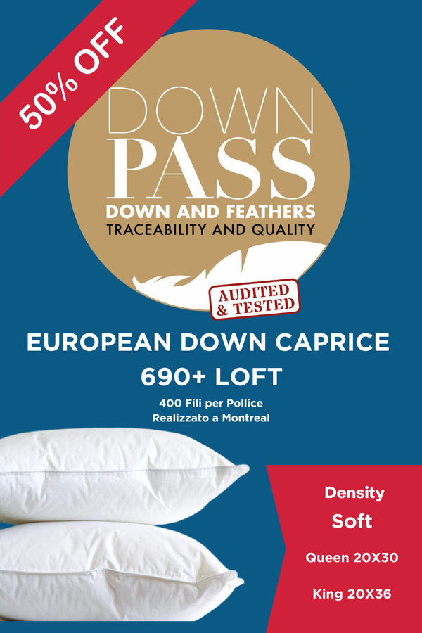 Caprice 690+ Loft European Down Pillow Soft