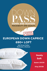 Caprice 690+ Loft European Down Pillow Soft