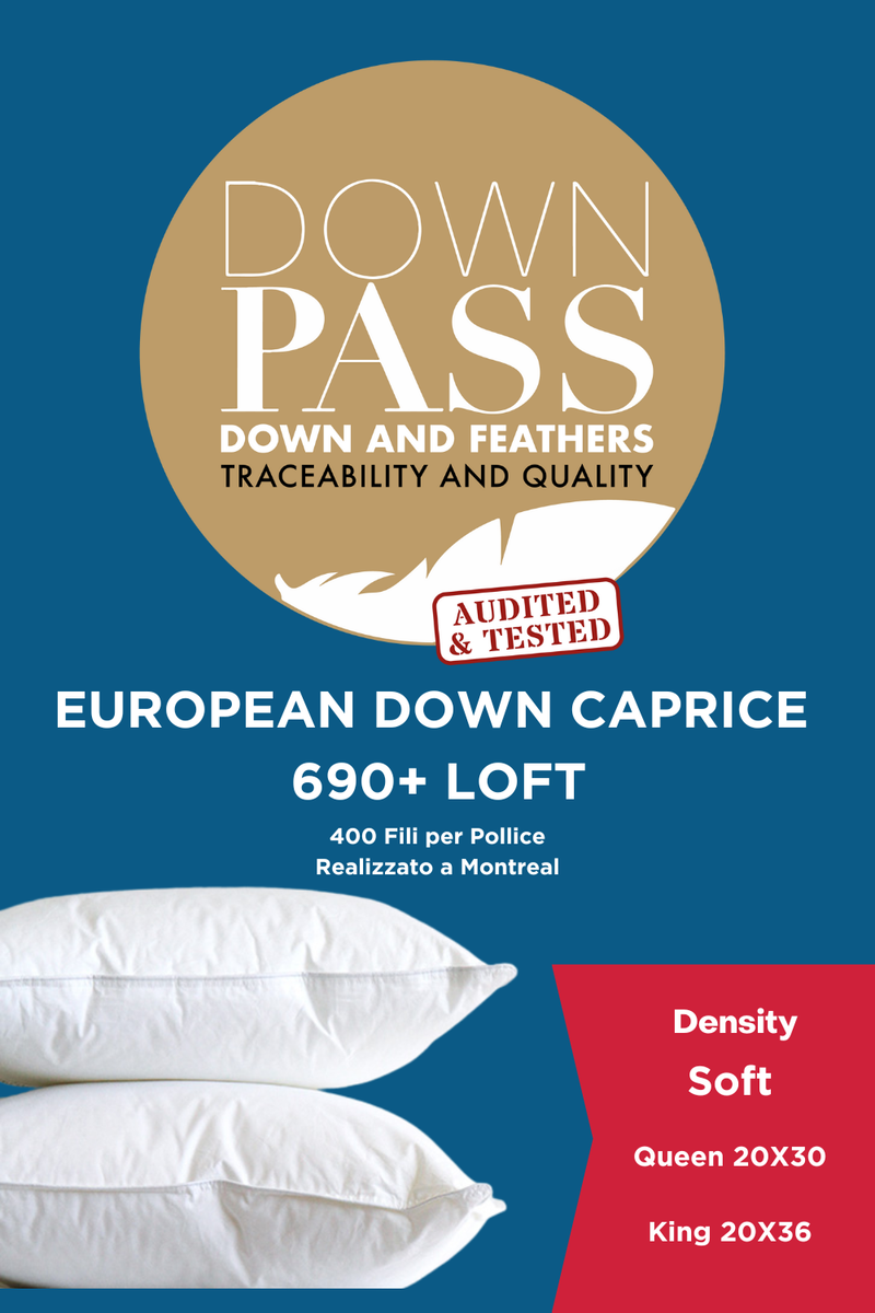 Caprice 690+ Loft European Down Pillow Soft