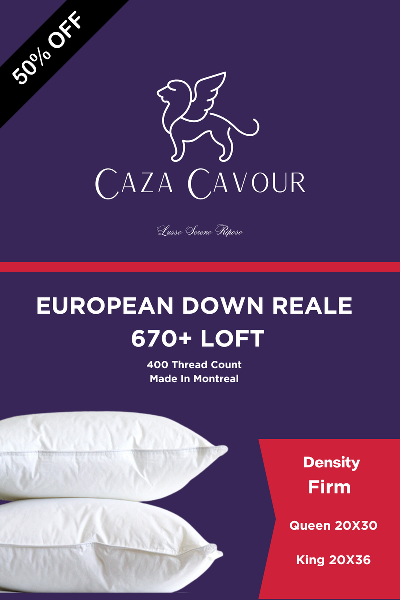 Reale 670+ Loft European Down Pillow Firm