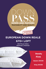 Reale 670+ Loft European Down Pillow Firm