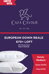 Reale 670+ Loft European Down Pillow Medium