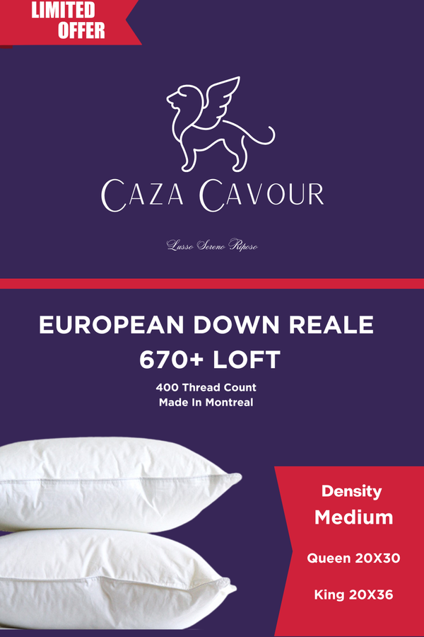 Reale 670+ Loft European Down Pillow Medium