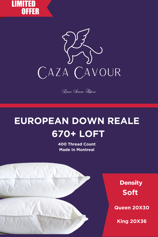 Reale 670+ Loft European Down Pillow Soft
