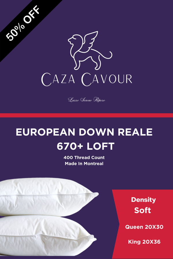 Reale 670+ Loft European Down Pillow Soft