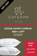 Caprice 880+ Loft Goose Down Pillow Soft