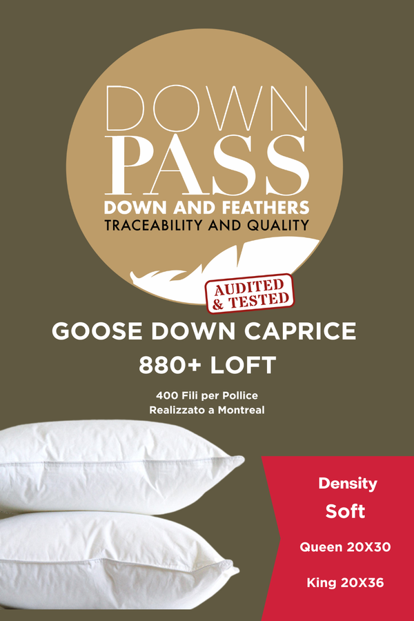 Caprice 880+ Loft Goose Down Pillow Soft