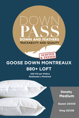 Montreaux 880+ Loft Goose Down Pillow Medium