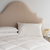PIATRA DUVET- ST GENEVE