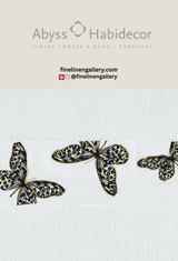 Papillio Towel - Palais Royal Linen Gallery