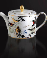 Roberto Cavalli Home Tea Pot or Coffee Pot GARDEN'S BIRDS diam. 4.75", H 4.5"