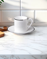 Roberto Cavalli Home Coffee Cup & Saucer LIZARD PLATIN Set of 2 in Luxury Box diam. 2.3", H 2.5", Cap. 4 oz, Saucer diam. 4.75"