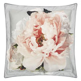 PEONIA GRANDE ZINC SHAM