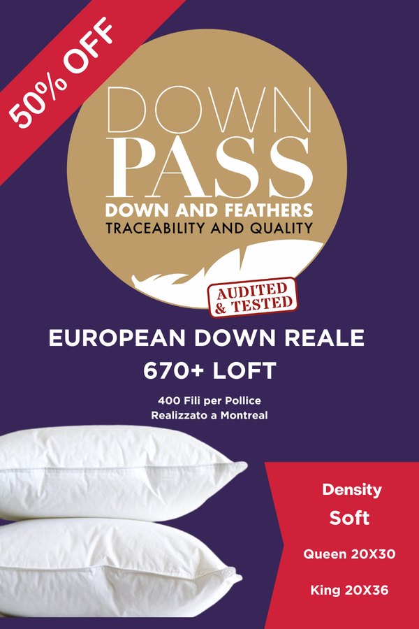 Reale 670+ Loft European Down Pillow Soft