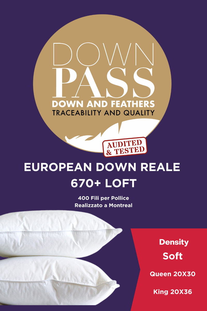 Reale 670+ Loft European Down Pillow Soft