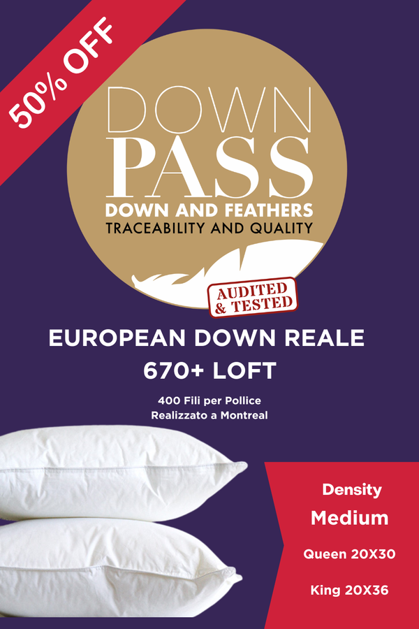 Reale 670+ Loft European Down Pillow Medium