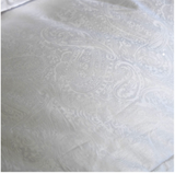 Paisley Down Pillow